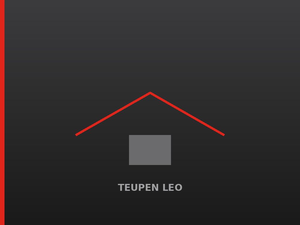 Kettenarbeitsbühne Teupen Leo 15GT